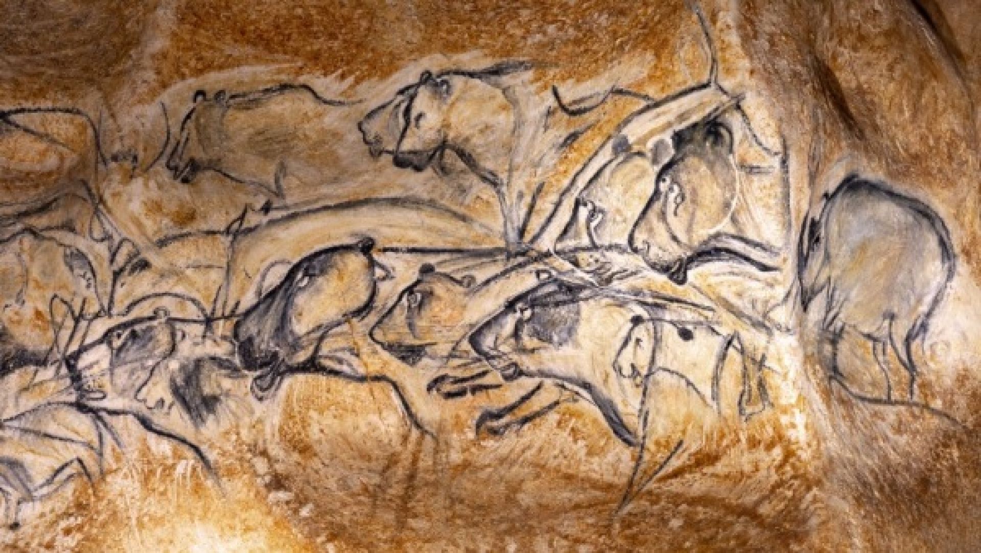 Gite de groupe proche de la grotte Chauvet