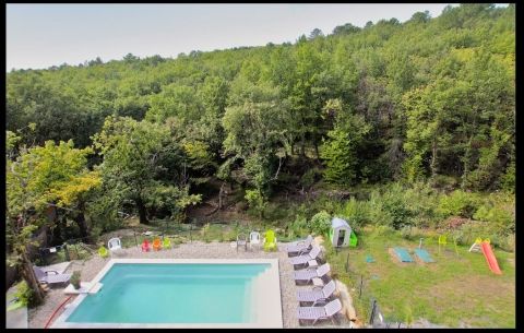 Piscine en bord de forêt